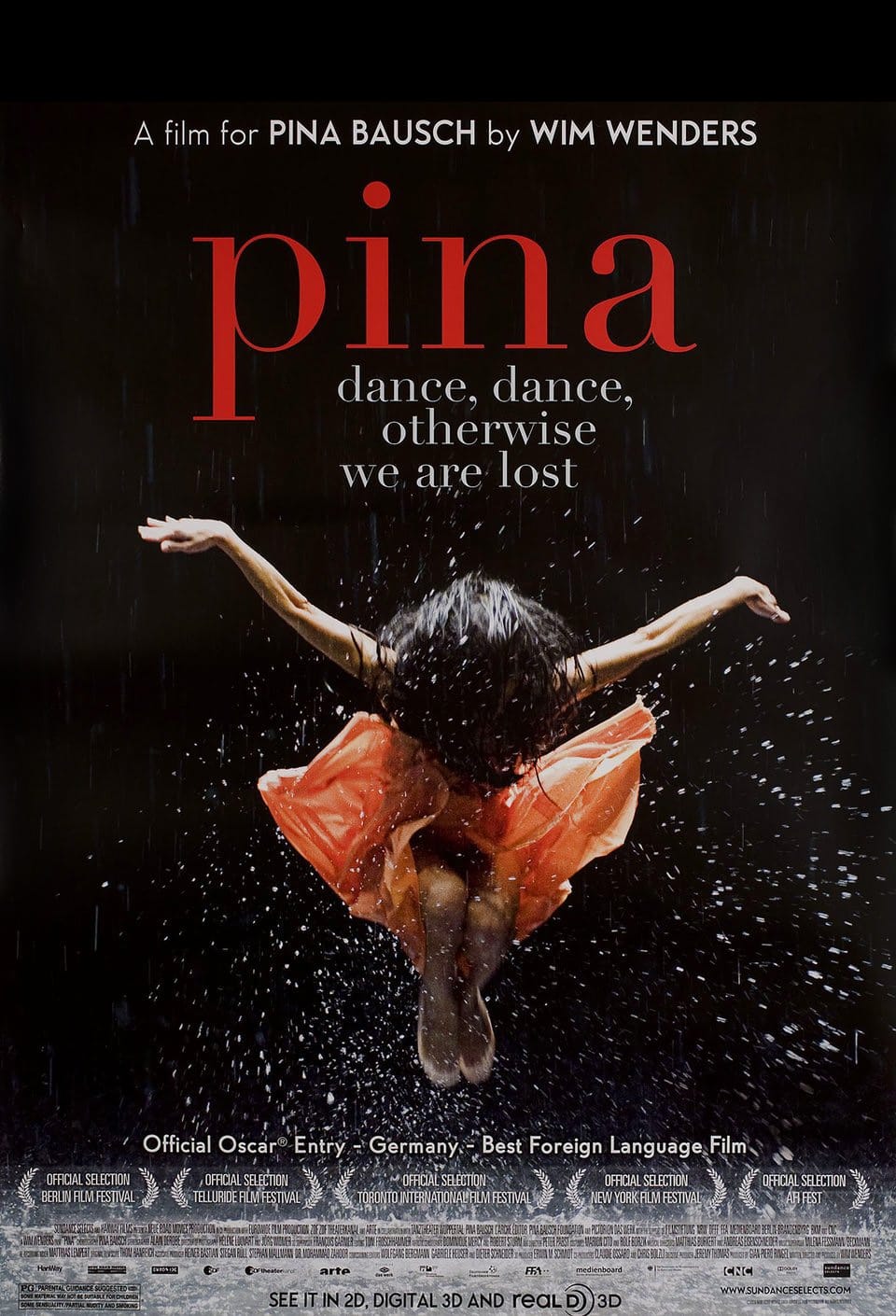 Pina-cover